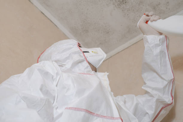 Office Mold Removal Services in Beverly Hills, MI