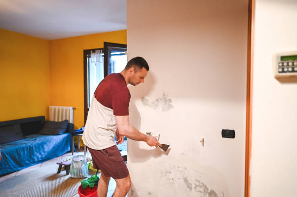 Best Mold Testing  in Beverly Hills, MI